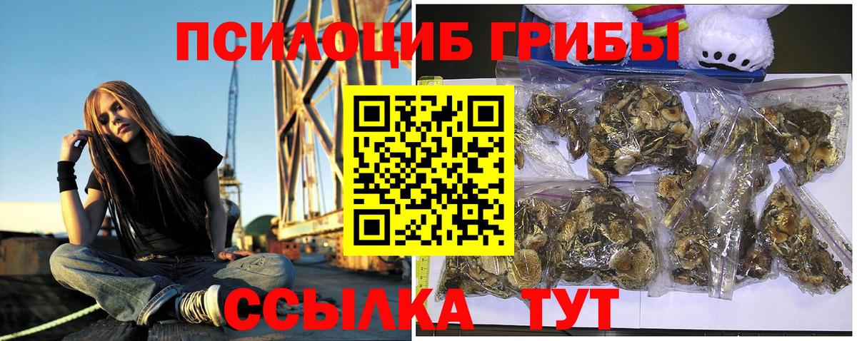 хочу   Вход с VPN  Кисловодск  Галлюциногенные грибы ЛСД 